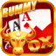 teen patti wg
