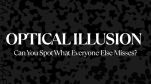 Optical Illusion: Can You Spot What Everyone Else Misses? This Image Will Leave You Confused