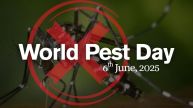 Top 5 Pests Indians Are Fighting in 2025 - And How to Stop Them
