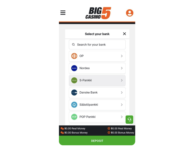 Payment page at Big5Casino