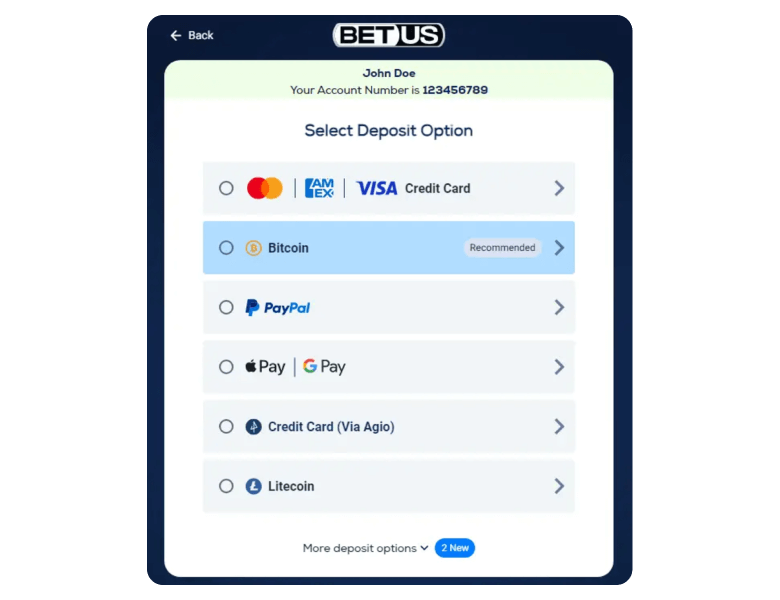 Select deposit option at BetUs Casino