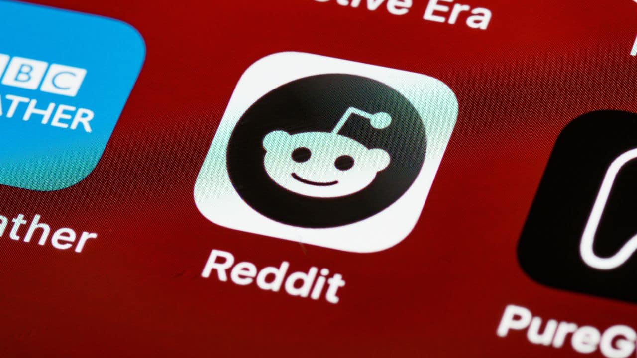 Who is KazeoLion, accused of bullying Mikayla Raines on Reddit, bio, real name, age, gender and photo